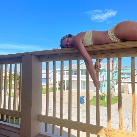 Meet your Posher, Dakota - Picture 1 of 1